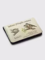 Зяблик (Fringilla coelebs)