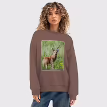 Сибирская косуля