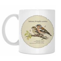 Зяблик (Fringilla coelebs)