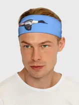 Большой крохаль