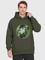 Звездчатка ланцетолистная
