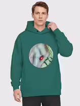 Листоед гладкий