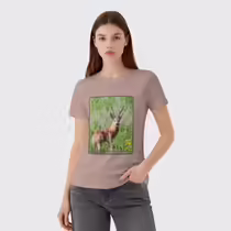 Сибирская косуля