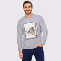 Зимний воробей