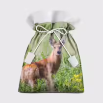 Сибирская косуля