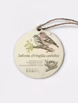 Зяблик (Fringilla coelebs)
