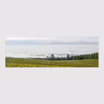 Туманные низины