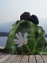 Звездчатка ланцетолистная