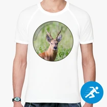 Сибирская косуля