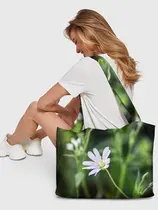 Звездчатка ланцетолистная