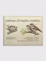 Зяблик (Fringilla coelebs)