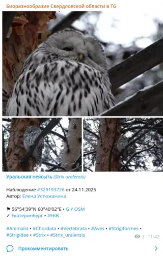 Пример телеграм-поста