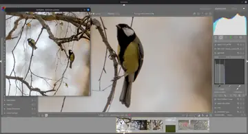 Скриншот darktable c дополнительным окном просмотра