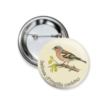 Зяблик (Fringilla coelebs)