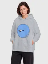 Большой крохаль