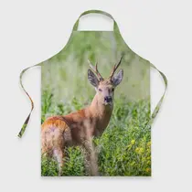 Сибирская косуля