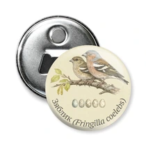 Зяблик (Fringilla coelebs)