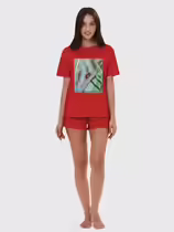 Листоед гладкий