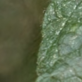 ISO3200, AI denoise