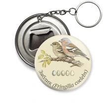 Зяблик (Fringilla coelebs)