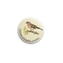 Зяблик (Fringilla coelebs)
