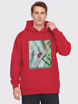 Листоед гладкий