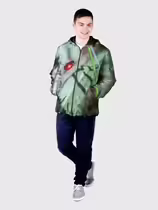 Листоед гладкий