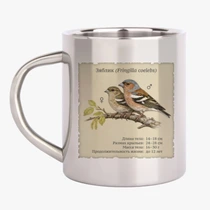 Зяблик (Fringilla coelebs)