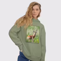 Сибирская косуля
