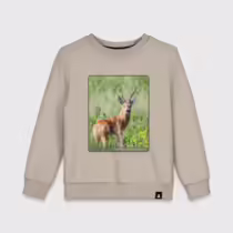Сибирская косуля