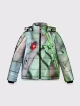 Листоед гладкий