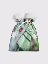 Листоед гладкий