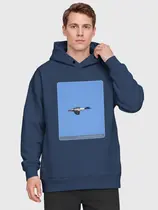 Большой крохаль