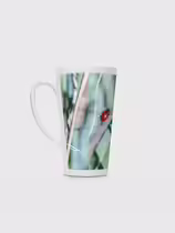 Листоед гладкий
