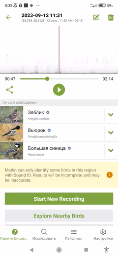 Скриншот записи