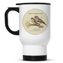 Зяблик (Fringilla coelebs)