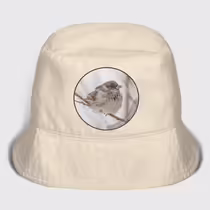 Зимний воробей