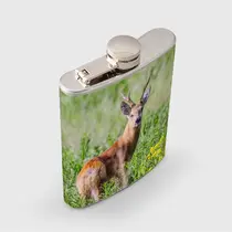 Сибирская косуля