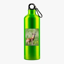 Сибирская косуля