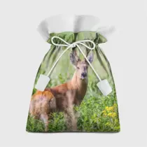 Сибирская косуля