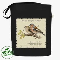 Зяблик (Fringilla coelebs)