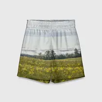 Туманные низины