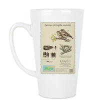 Зяблик (Fringilla coelebs)