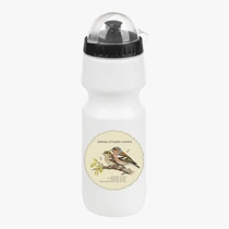 Зяблик (Fringilla coelebs)