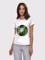 Звездчатка ланцетолистная