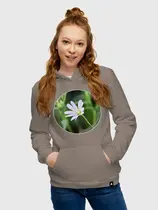 Звездчатка ланцетолистная