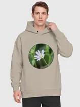 Звездчатка ланцетолистная