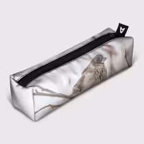 Зимний воробей