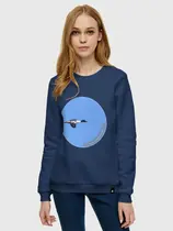 Большой крохаль