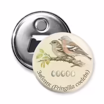 Зяблик (Fringilla coelebs)